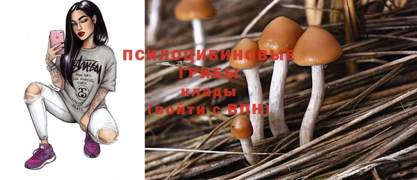индика Алзамай